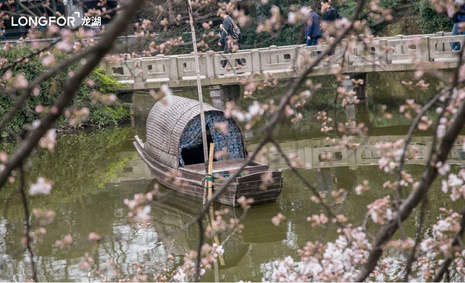春光和煦寻访苏州的江南美景,趁着春天行走苏州