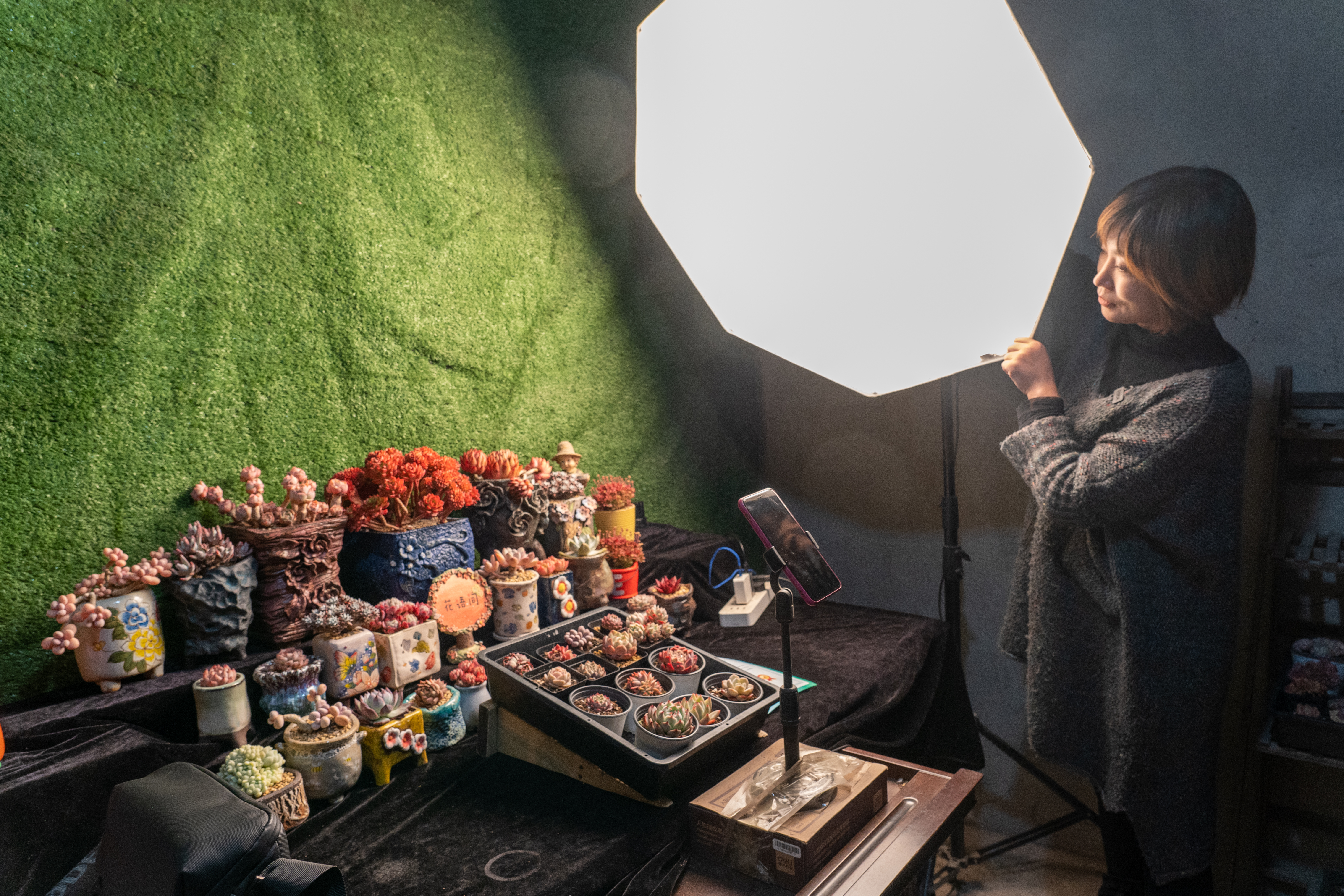 现实版《山海情》！宁夏宝妈创业种多肉带动本地妇女家门口就业