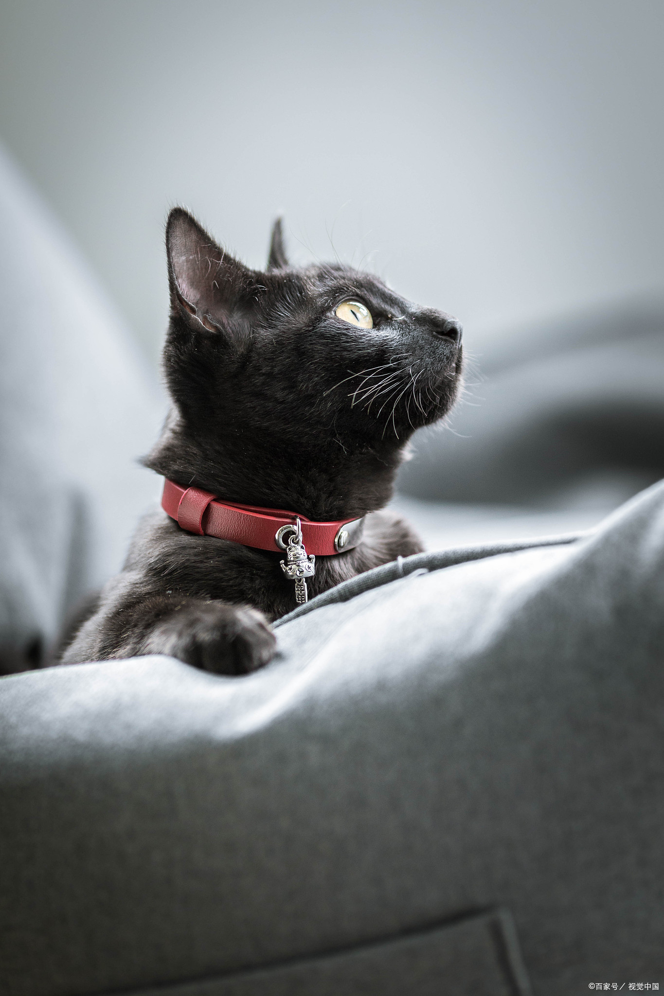 期货高手分享操作,期货高手用什么技术