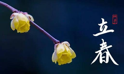 2020年是无春年还是双春年,2020年双春年是什么年