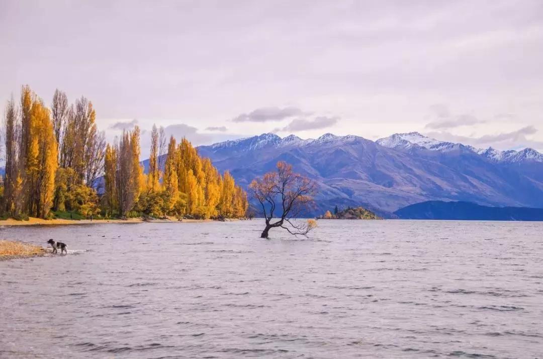 有关温柔的四字成语,表示很温柔四个字成语