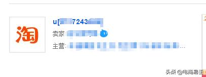 淘宝开店新手如何取名,淘宝上的电商怎么取名