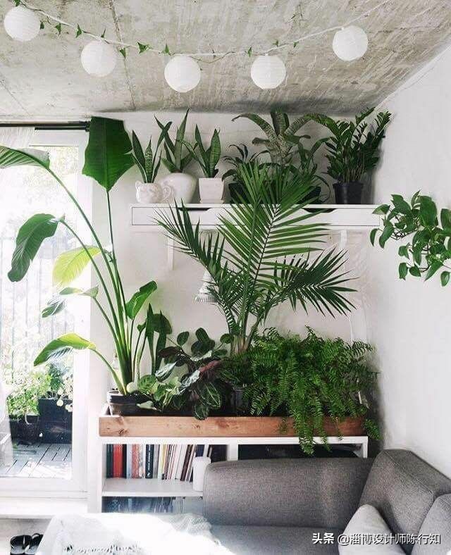 大门正对卫生间门屏风效果图,大门正对卫生间门有煞