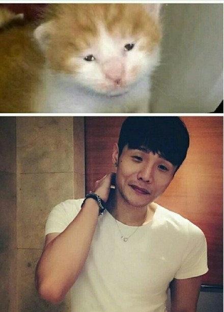 明星撞脸不可怕性别不同就尴尬,意想不到的明星撞脸