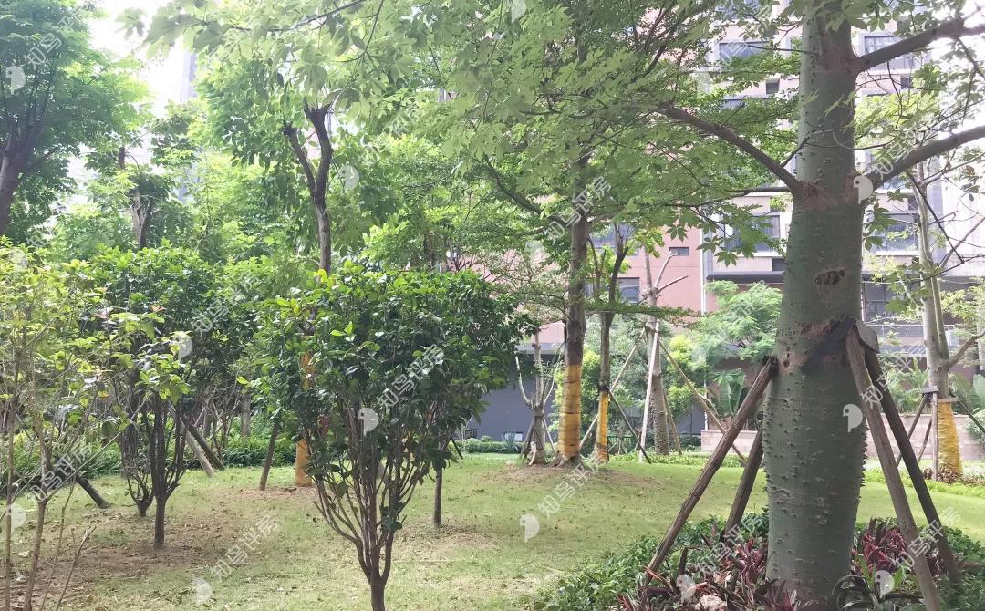 中正soho东莞长安复式楼,长安镇中正soho邮编