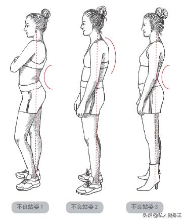 1对哑铃6个动作每天1次适合上班族,哑铃弹力带锻炼