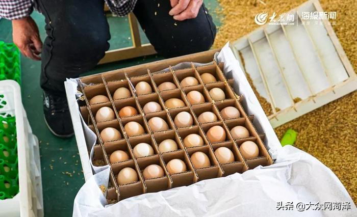 1元微力量捐款到武汉｜30枚爱心鲜鸡蛋26.8元，顺丰包邮到家