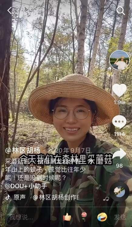 95后女孩毕业回乡采蘑菇月销10万元小森林里也有大宝藏