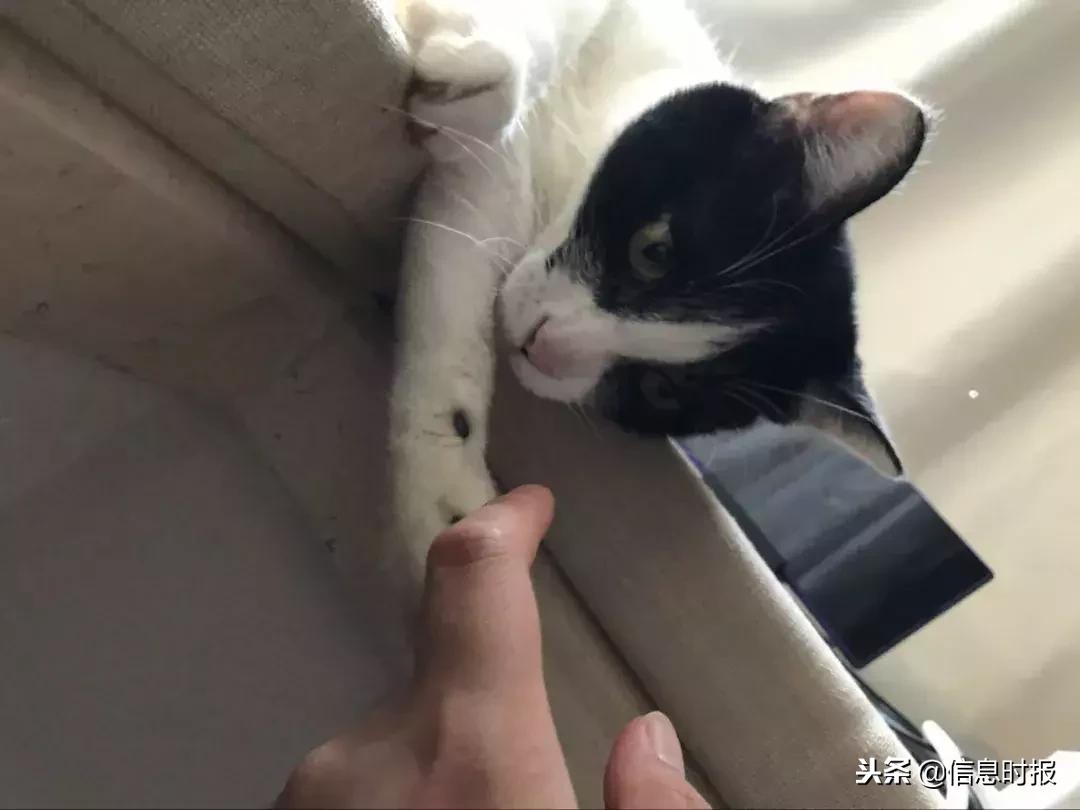 女生突然发烧39度无其他症状,女子莫名高烧40