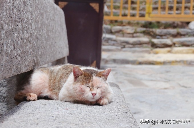 川藏小环线5天,川藏青藏大环线18天行程攻略