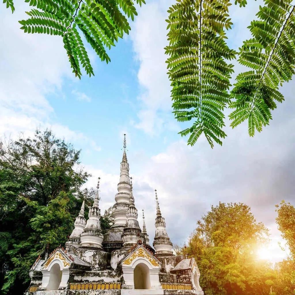 每个人心中都有一个西双版纳,西双版纳最吸引你的是什么