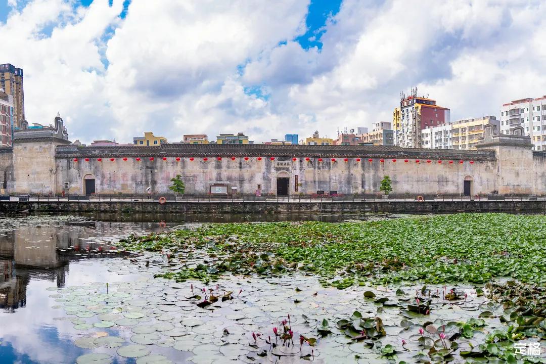 深圳周末打卡地点排行榜,深圳秋季打卡攻略