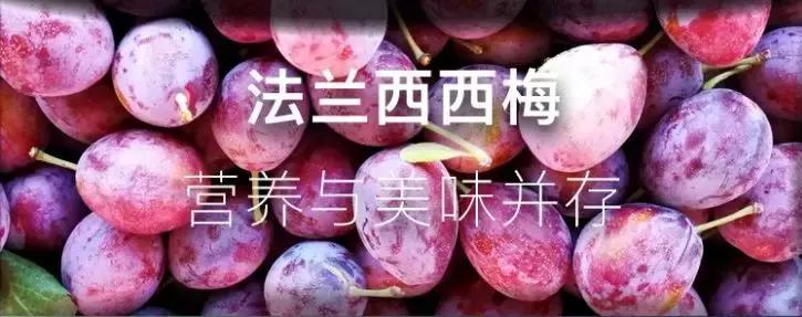 西梅怎样挑选是新鲜的,怎样挑选新鲜西梅吃