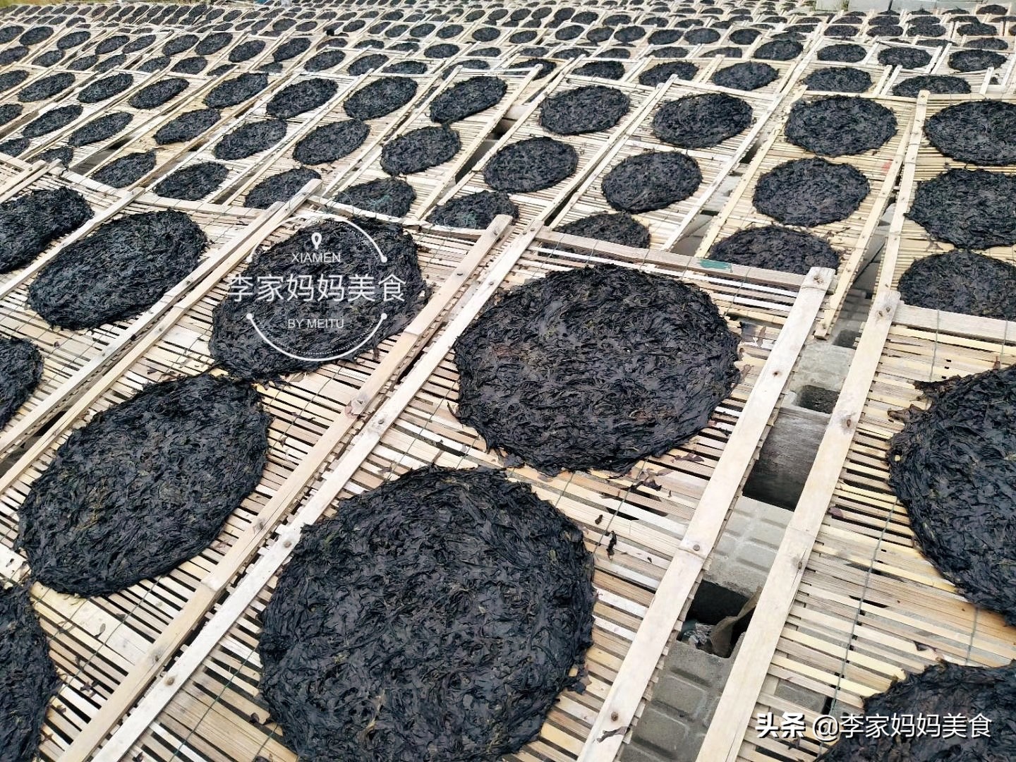 适合秋冬季吃的海鲜有哪些,这8种海鲜冬天吃更美味