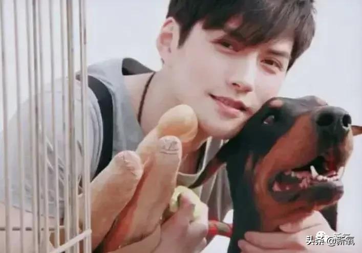 十世情殇换一世容颜,用十世情商智商来换一世容颜的人