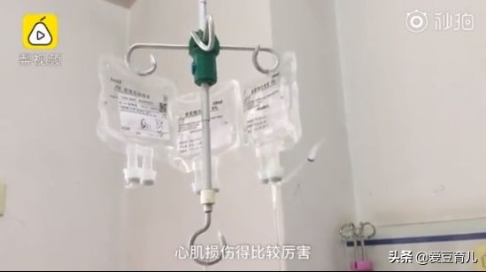 儿童误食鱼的位置图,小孩吞有毒物肝功能受损