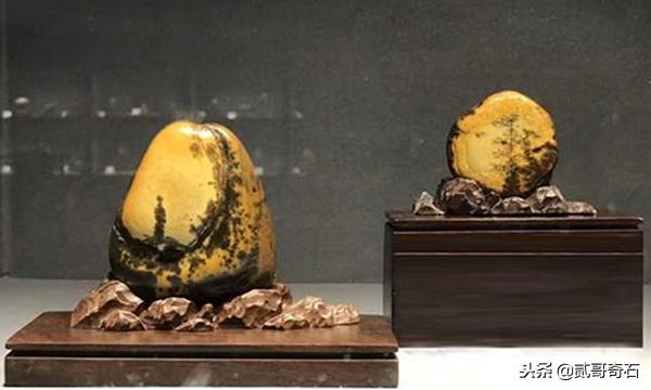 奇石底座欣赏,奇石的底座为何会越来越复杂