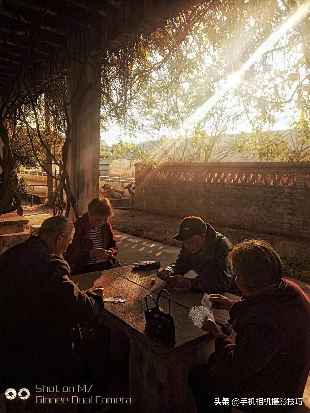 学摄影要听前人话吗,摄影小白零基础学摄影图片