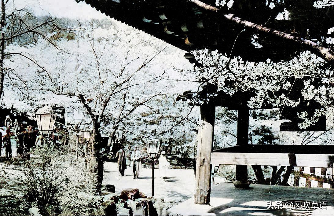 丹东老照片辽宁,辽宁老丹东城照片