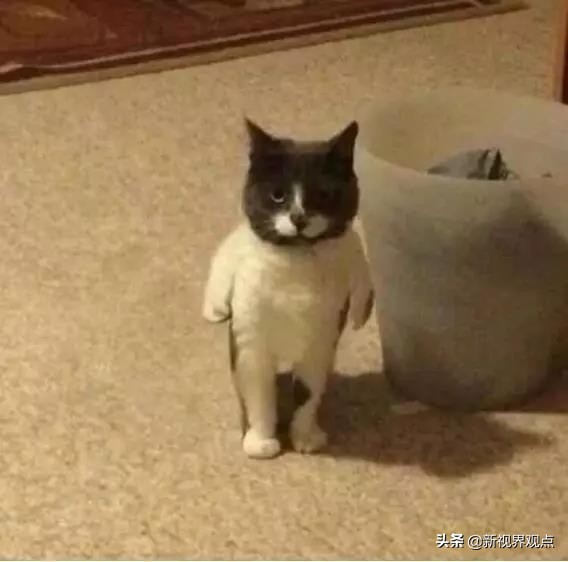 神奇的视觉错位图30张,神奇的错位照片