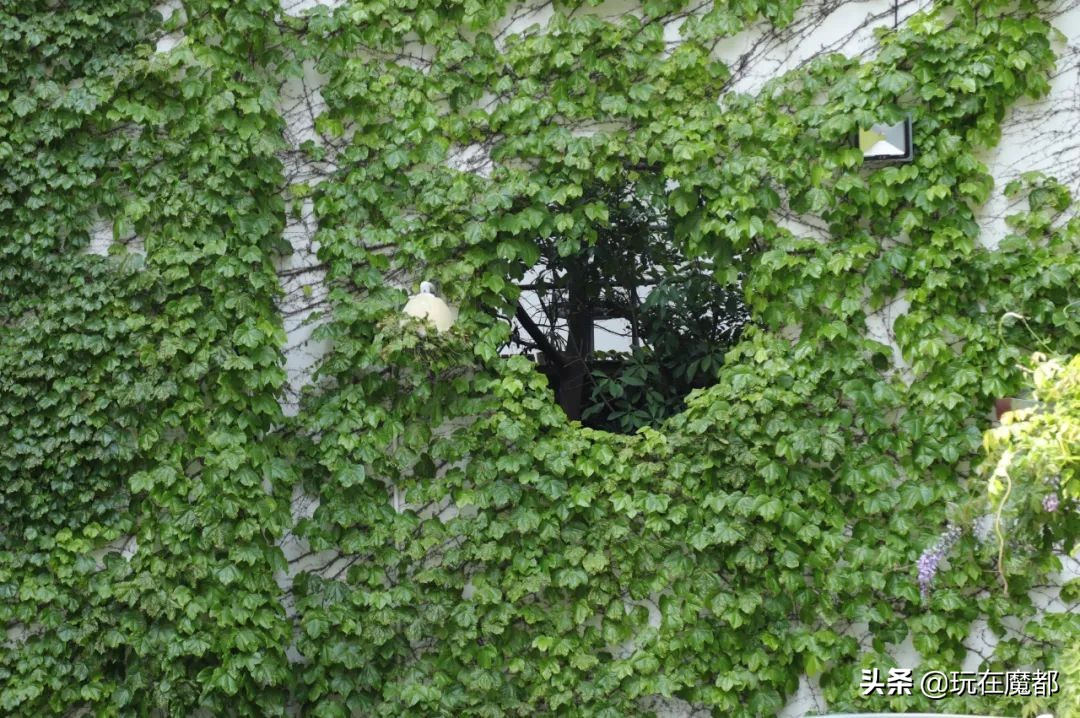 上海旅游必去景点推荐迪士尼,上海旅游攻略7大必去迪士尼景点