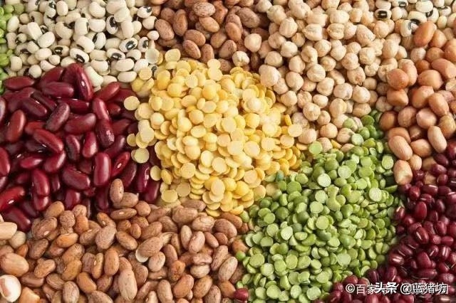 六个月宝宝除了米粉可以吃什么,6个月宝宝除了米粉还需要吃什么