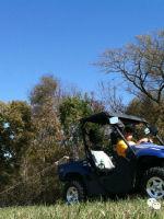 博力汉姆橄榄陨石特征,brenham橄榄陨铁