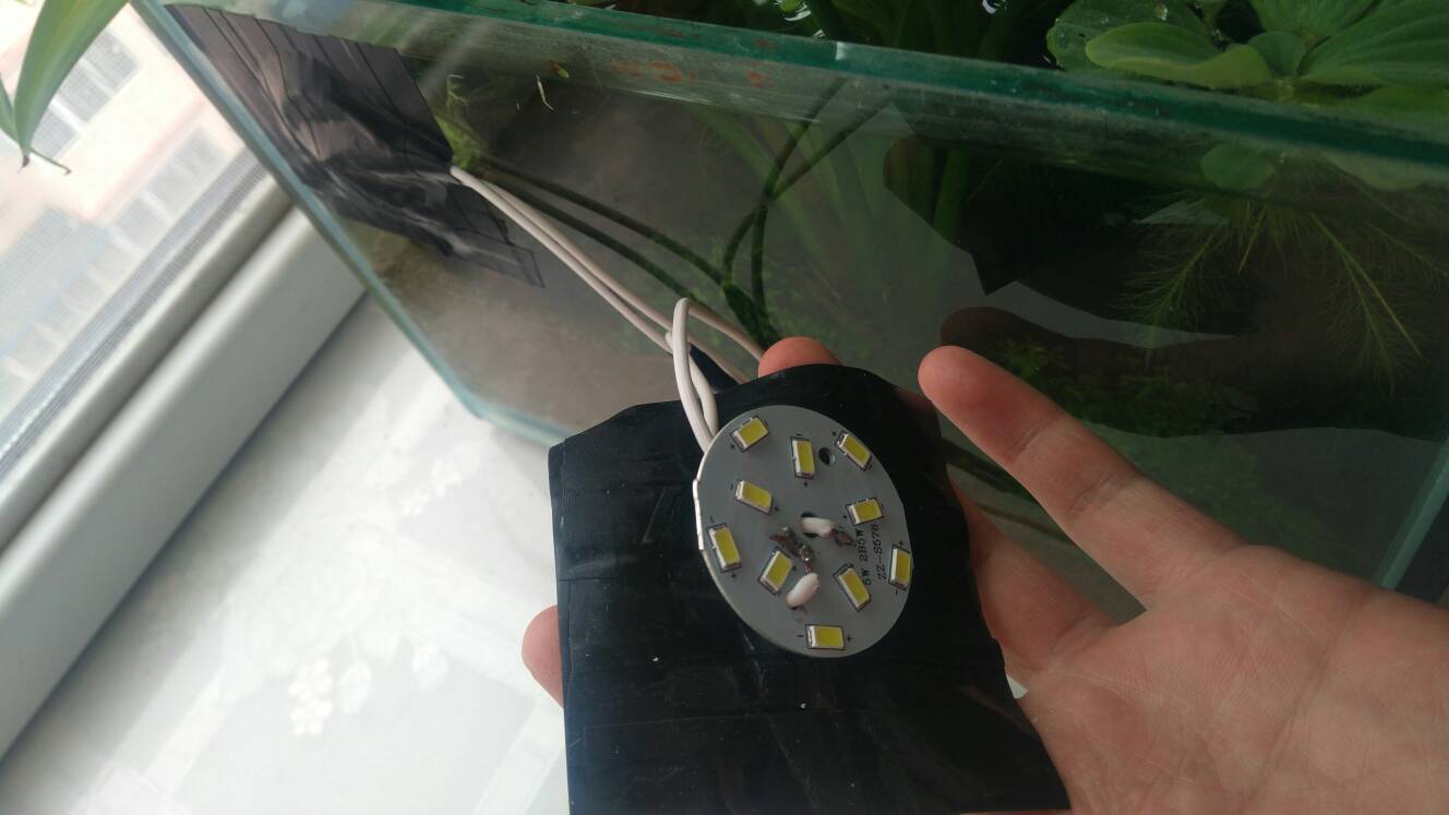 沼泽过滤鱼缸怎么开缸,沼泽缸开缸教程