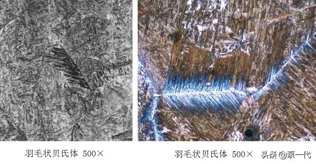 马氏体、奥氏体、珠光体,20种材料彩色金相,带你轻松识别