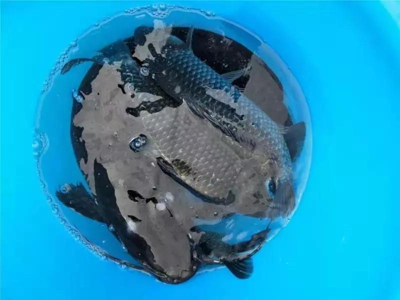 石狮今天的新消息,今日的石狮市