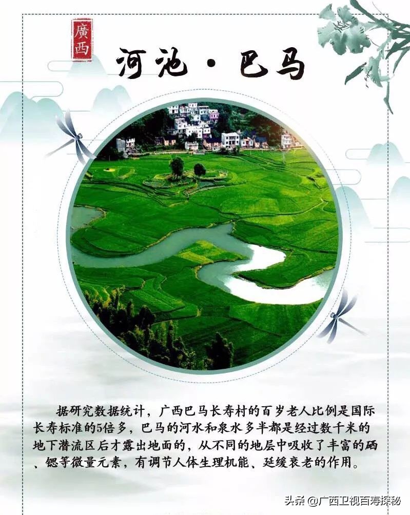 巴马长寿之乡候鸟老人,巴马为什么吸引成千上万的候鸟人