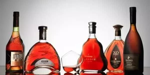 白兰地适合新手入门吗,哪些是白兰地不可缺少的环节