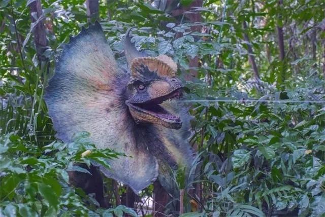 广州长隆1大1小亲子票大马戏,广州长隆珠海亲子游旅游攻略