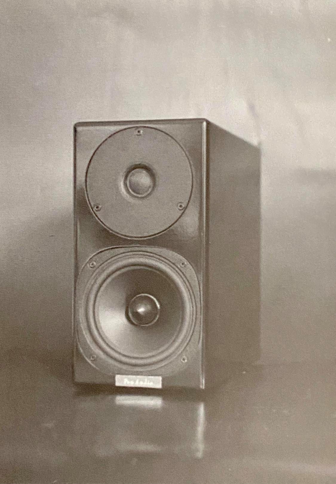 没有音染一样可以真情流露——评PenaudioLumi音箱