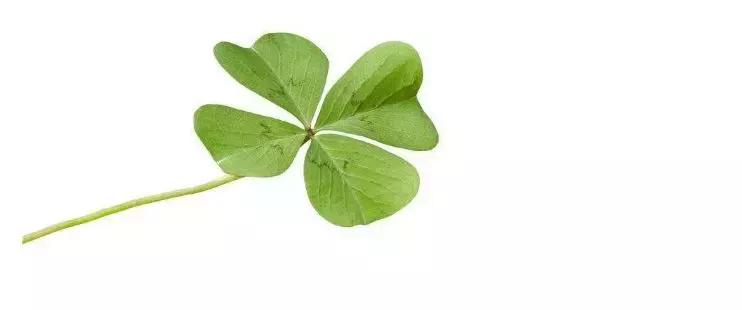 绝经19年,这种罕见病让她遇见了……