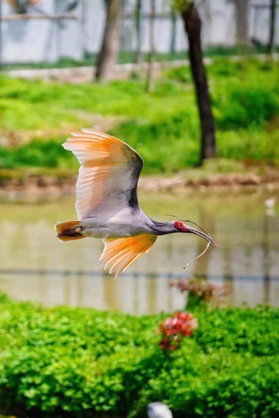 最新款领克01驾驶体验,领克01探界者怎么选