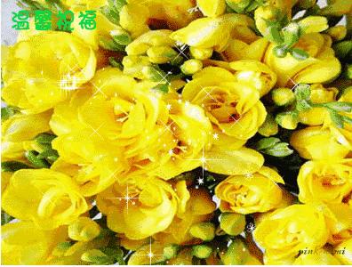 一份暖心的问候致我牵挂的朋友,真心的祝福送给每一位真心的朋友