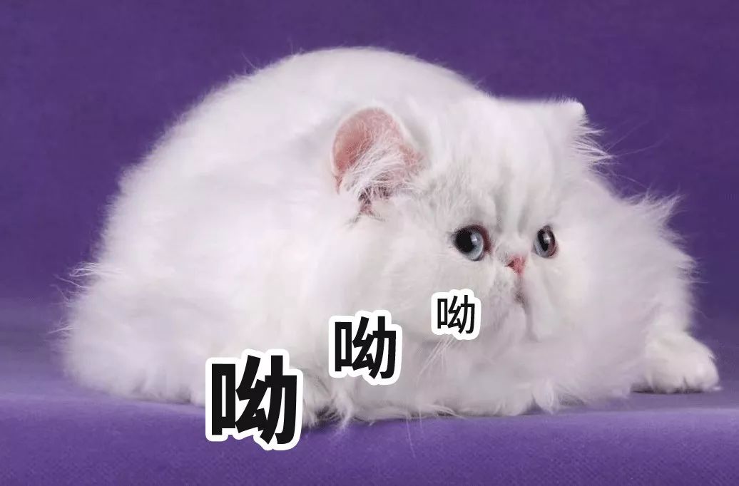 叶檀财经投资价值排行,叶檀财经推荐的股票有哪些