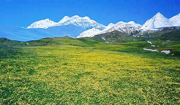 九曲十八弯河流,九曲十八弯水库