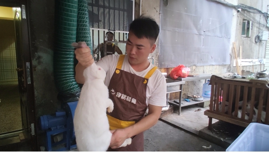 贵州长顺：念好肉兔养殖“致富经”解锁乡村振兴“密码”