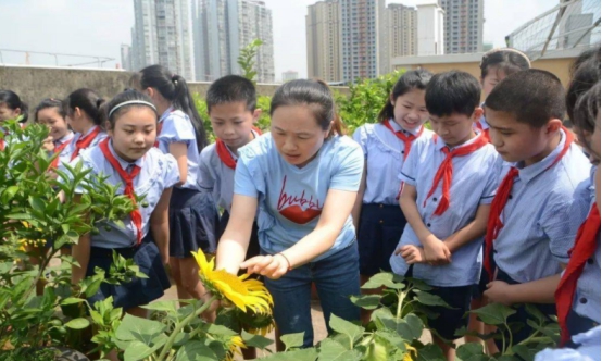 5+4学制教育部什么时间执行,5+4学制官方回应