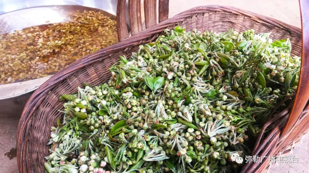 三月弥勒什么地方可以赏花,弥勒3月赏花攻略