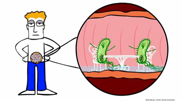 念珠菌怎么预防,如何防治念珠菌