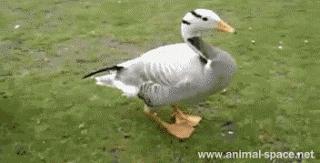 如果知道憋尿的后果,我打赌你再也不会憋了……