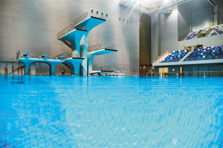 奥运冠军挑战10米台,奥运冠军集体亮相