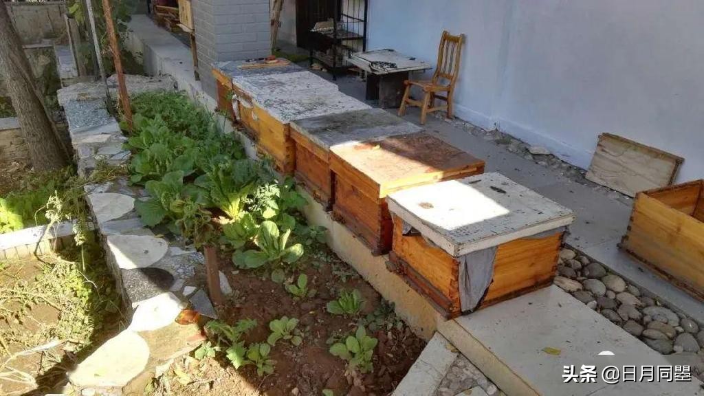 往事丨1992年，他们在武汉策划了一次消毒艺术运动