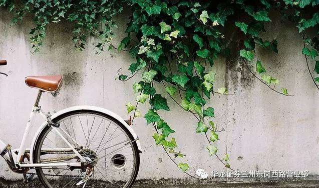 沈阳2019居游旅游年卡/票正式开售,都包含哪些景区?多少钱?