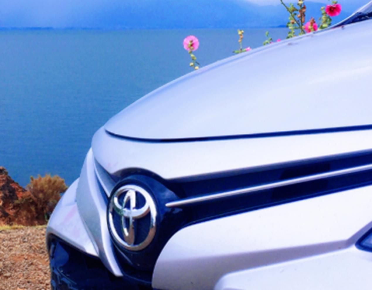 追梦路上志同道合的伙伴,追梦路上的伙伴