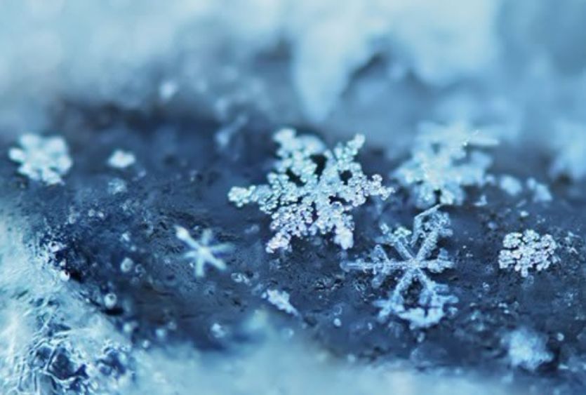 「原创诗词」管恩锋|一缕凉风送佳讯春芽初孕又阳天