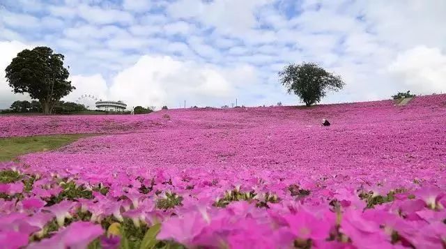 日本生态农业庄园,日本田园农场排行榜